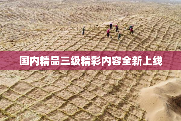 国内精品三级精彩内容全新上线