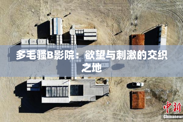 多毛骚B影院：欲望与刺激的交织之地