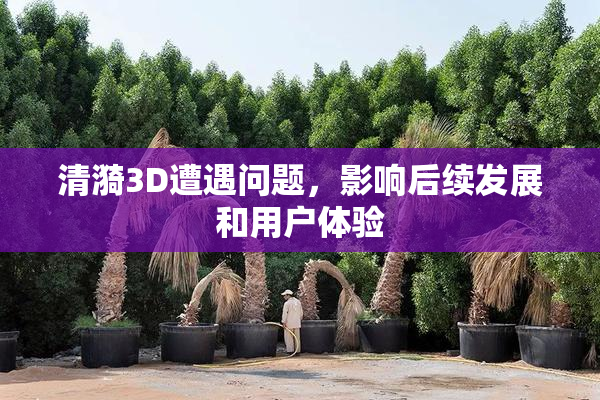 清漪3D遭遇问题，影响后续发展和用户体验