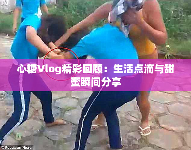 心糖Vlog精彩回顾：生活点滴与甜蜜瞬间分享