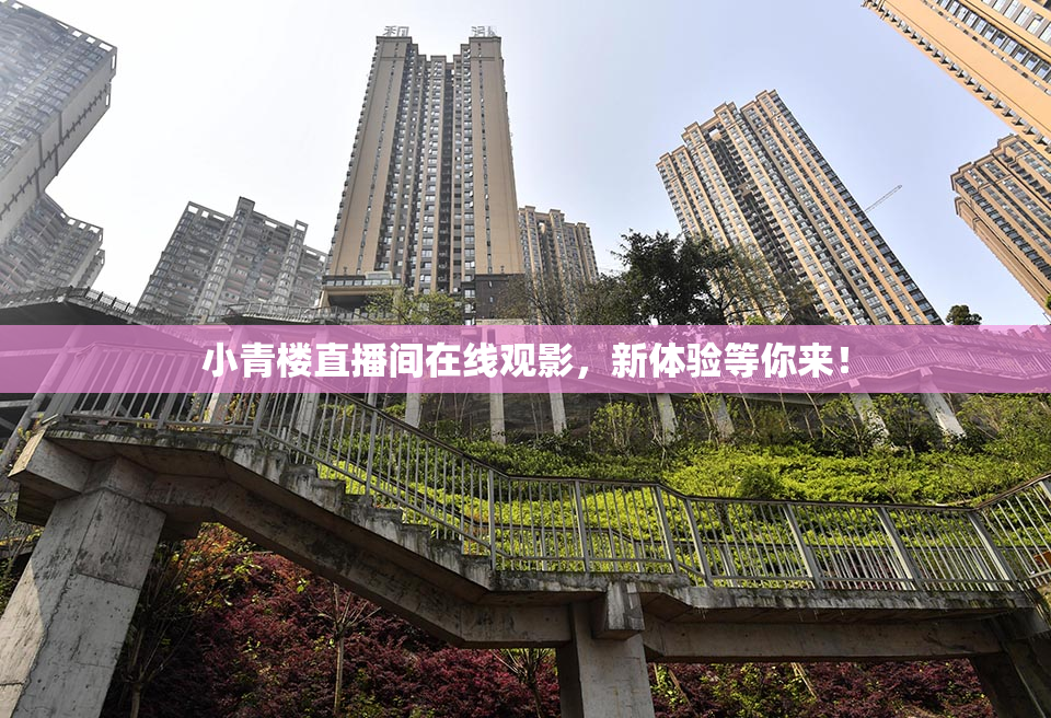 小青楼直播间在线观影，新体验等你来！