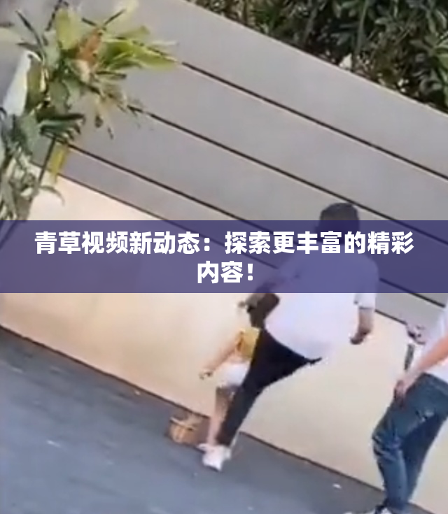 青草视频新动态：探索更丰富的精彩内容！