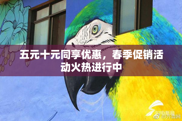 五元十元同享优惠，春季促销活动火热进行中