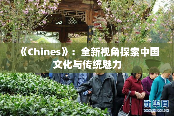 《Chines》：全新视角探索中国文化与传统魅力