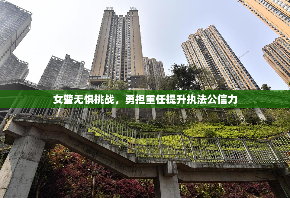 女警无惧挑战，勇担重任提升执法公信力