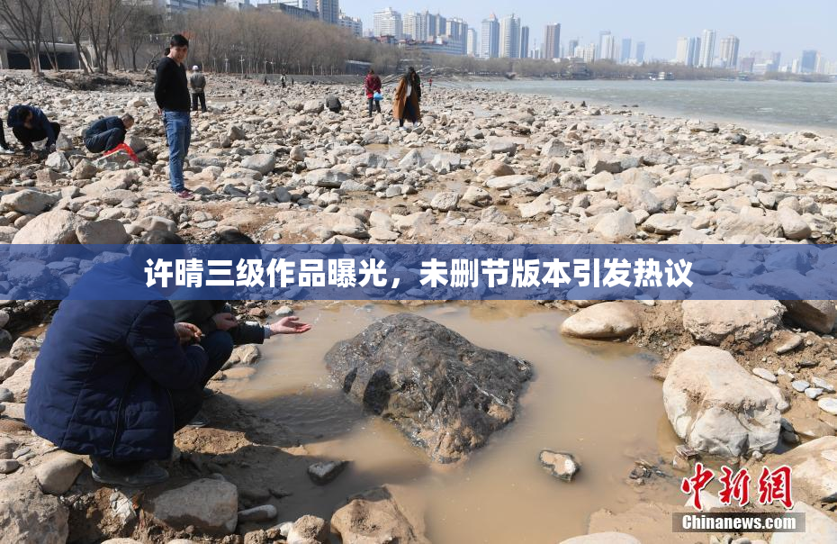 许晴三级作品曝光，未删节版本引发热议