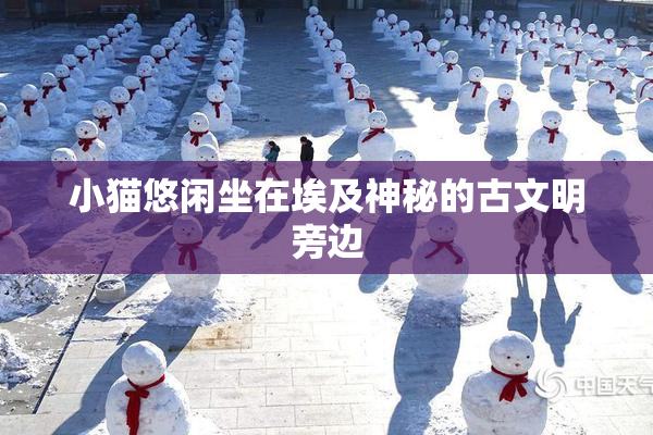 小猫悠闲坐在埃及神秘的古文明旁边