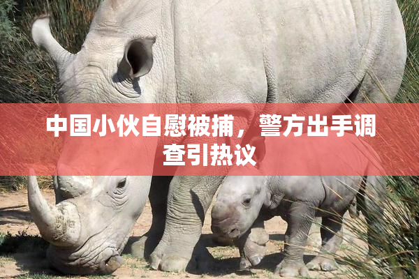 中国小伙自慰被捕，警方出手调查引热议