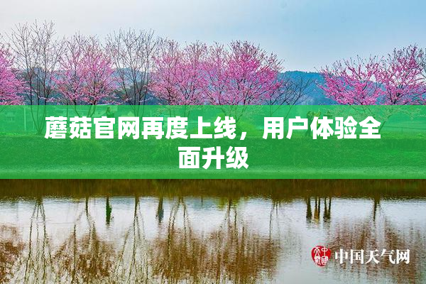 蘑菇官网再度上线，用户体验全面升级