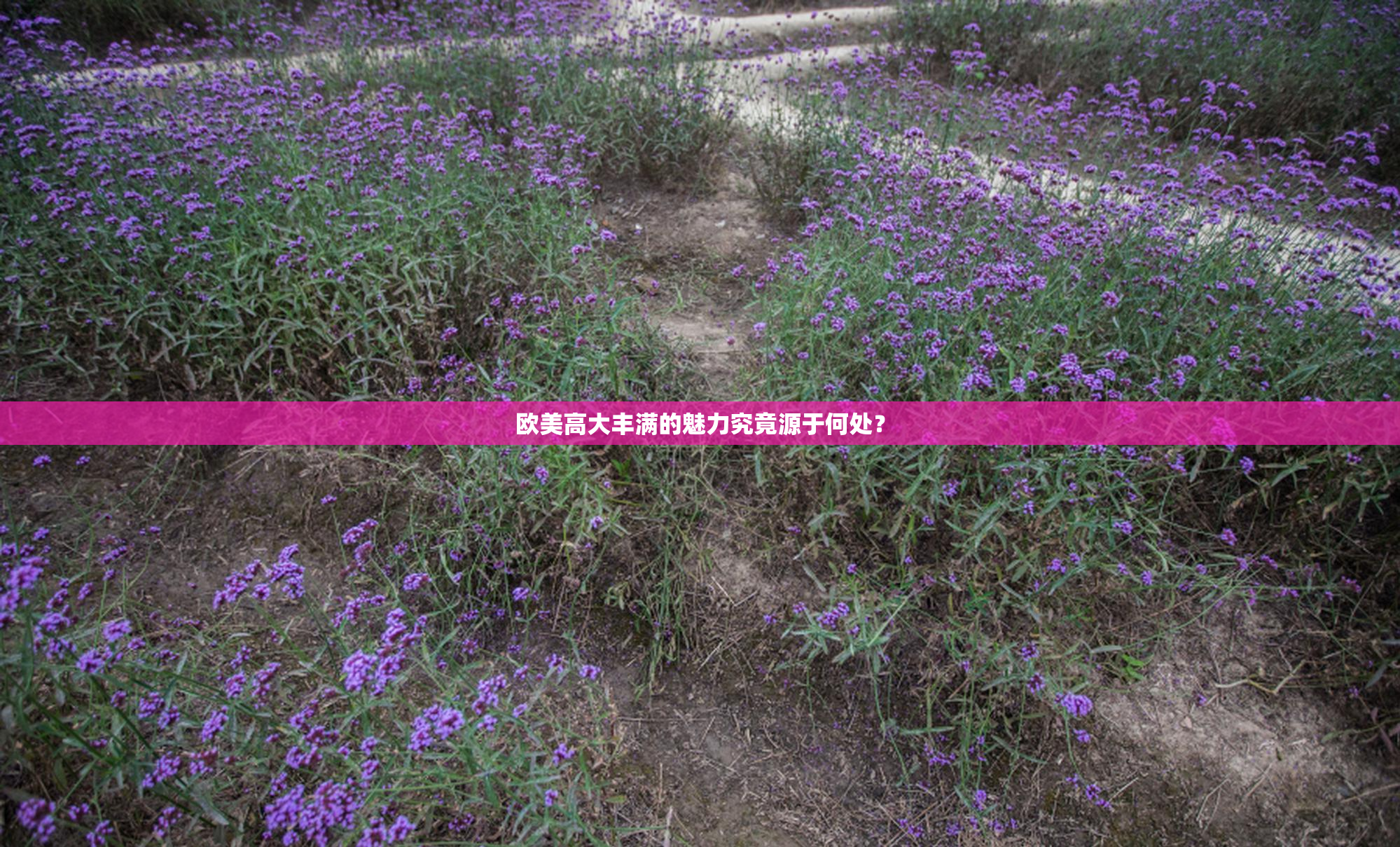 欧美高大丰满的魅力究竟源于何处？