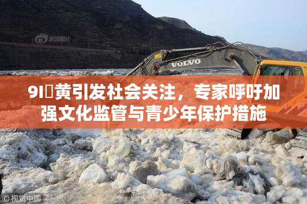 9I婬黄引发社会关注，专家呼吁加强文化监管与青少年保护措施