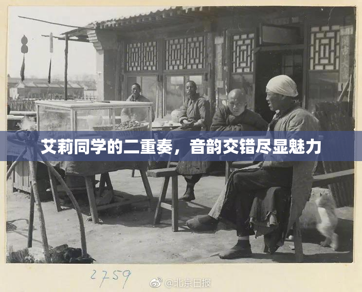 艾莉同学的二重奏，音韵交错尽显魅力