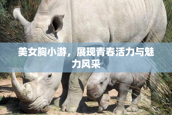 美女胸小游，展现青春活力与魅力风采