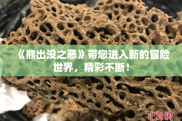 《熊出没之恶》带您进入新的冒险世界，精彩不断！