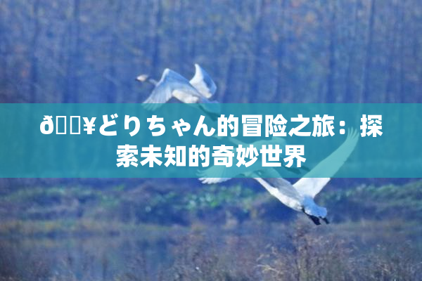 🔥どりちゃん的冒险之旅：探索未知的奇妙世界
