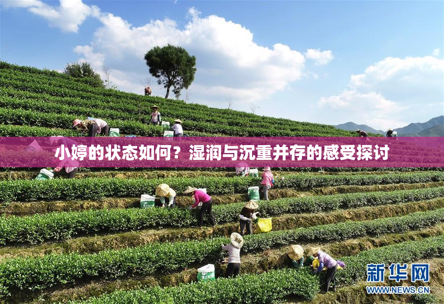 小婷的状态如何？湿润与沉重并存的感受探讨