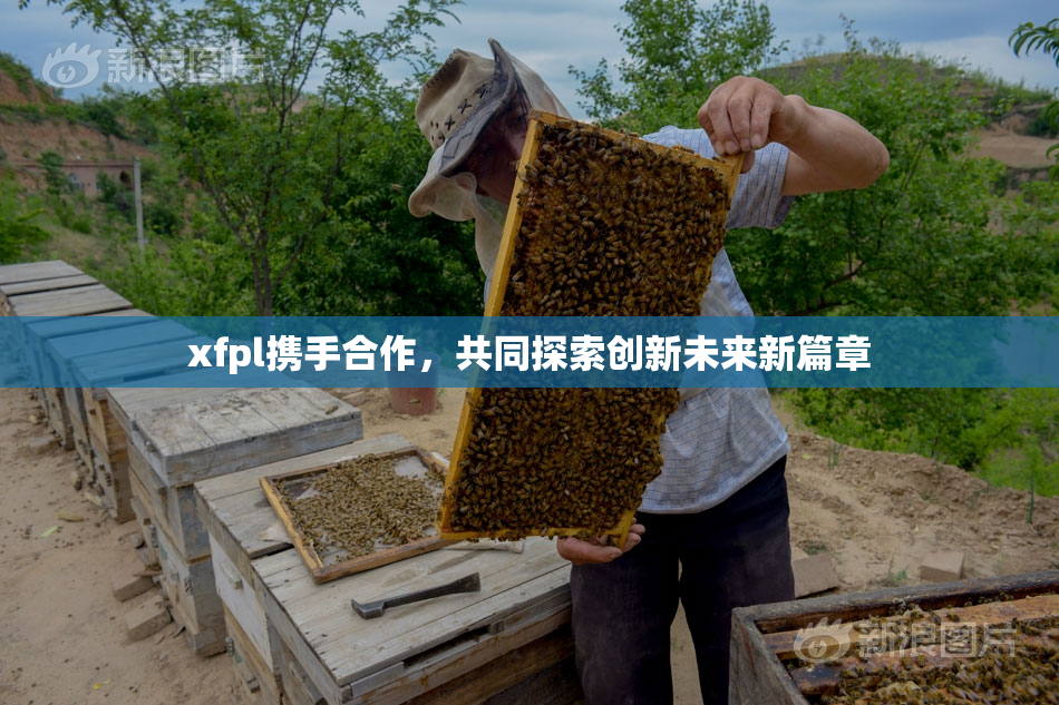 xfpl携手合作，共同探索创新未来新篇章