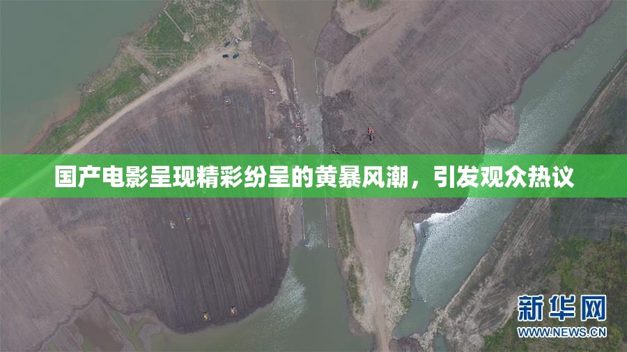 国产电影呈现精彩纷呈的黄暴风潮，引发观众热议