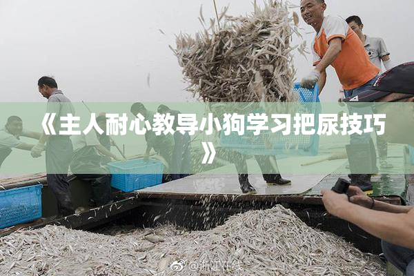 《主人耐心教导小狗学习把尿技巧》