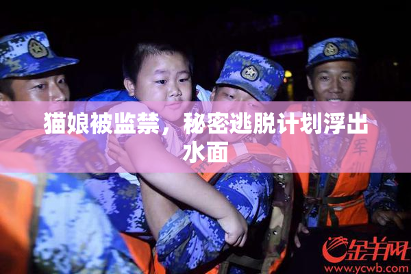 猫娘被监禁，秘密逃脱计划浮出水面