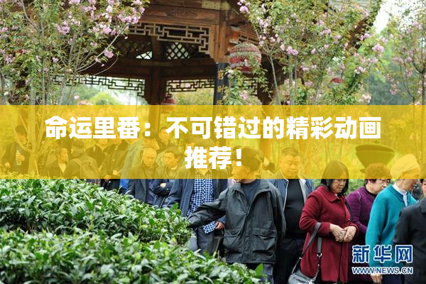命运里番：不可错过的精彩动画推荐！