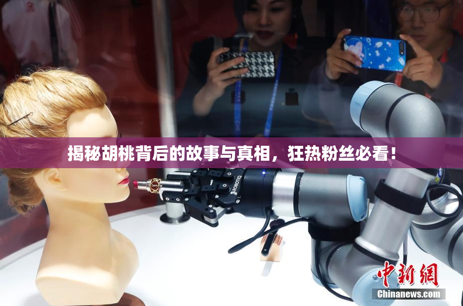 揭秘胡桃背后的故事与真相，狂热粉丝必看！