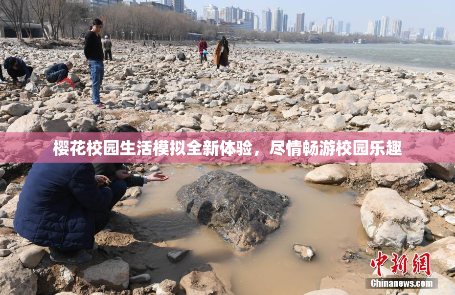 樱花校园生活模拟全新体验，尽情畅游校园乐趣