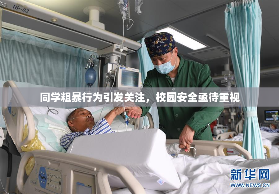 同学粗暴行为引发关注，校园安全亟待重视