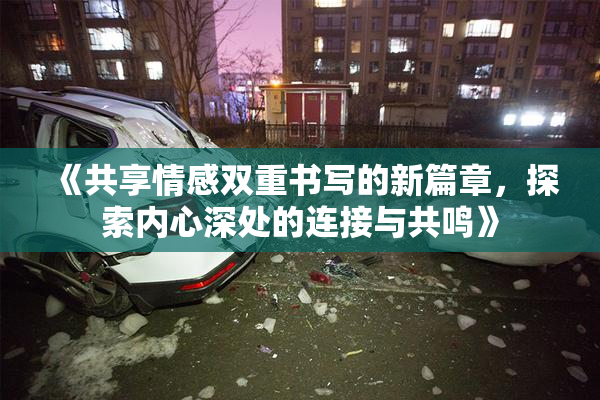 《共享情感双重书写的新篇章，探索内心深处的连接与共鸣》