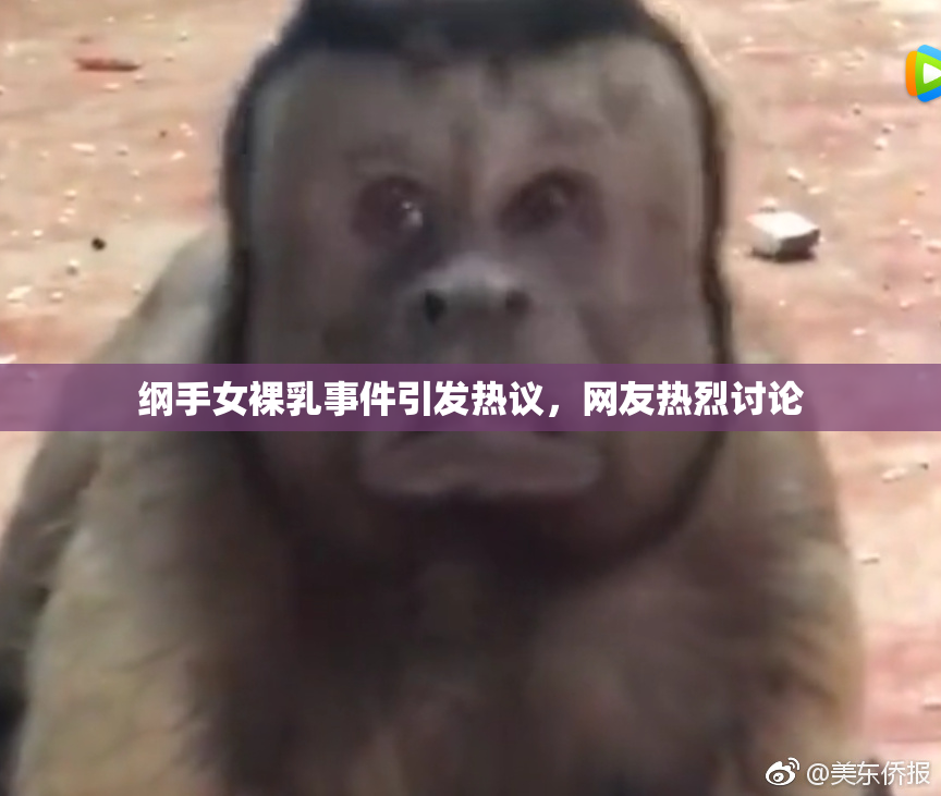 纲手女裸乳事件引发热议，网友热烈讨论