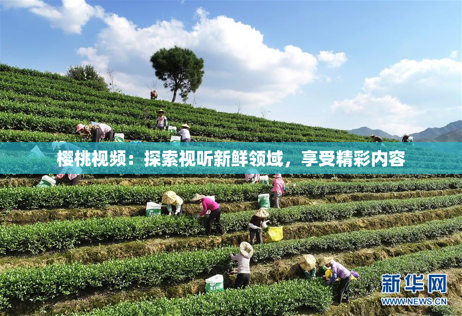 樱桃视频：探索视听新鲜领域，享受精彩内容