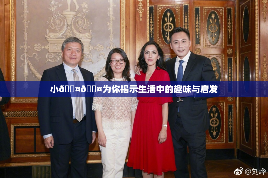 小🐤🐤为你揭示生活中的趣味与启发