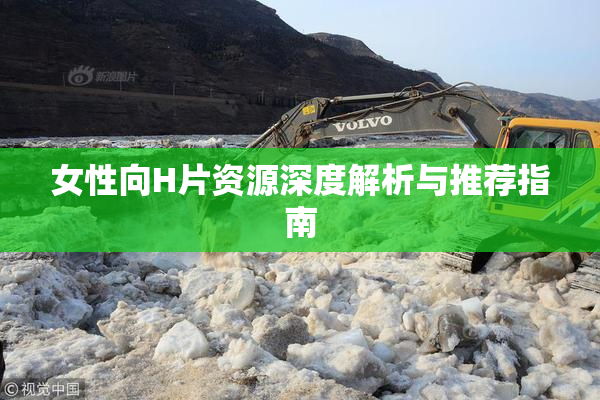 女性向H片资源深度解析与推荐指南