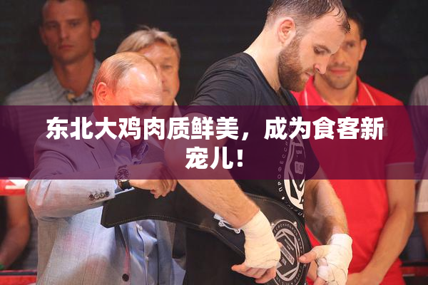 东北大鸡肉质鲜美，成为食客新宠儿！
