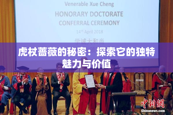 虎杖蔷薇的秘密：探索它的独特魅力与价值