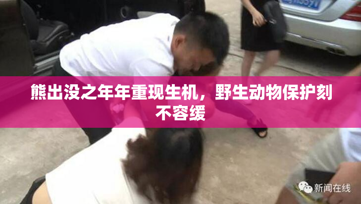 熊出没之年年重现生机，野生动物保护刻不容缓