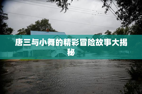 唐三与小舞的精彩冒险故事大揭秘