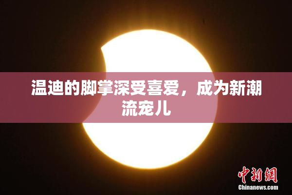 温迪的脚掌深受喜爱，成为新潮流宠儿