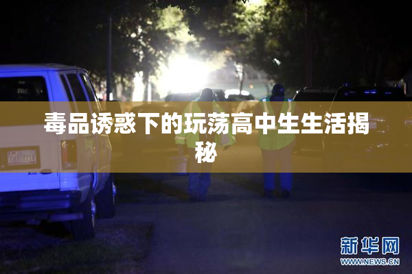 毒品诱惑下的玩荡高中生生活揭秘