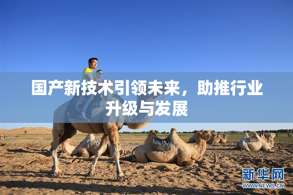 国产新技术引领未来，助推行业升级与发展