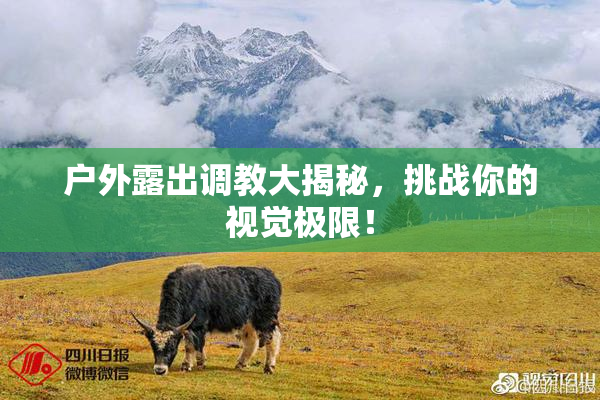 户外露出调教大揭秘，挑战你的视觉极限！