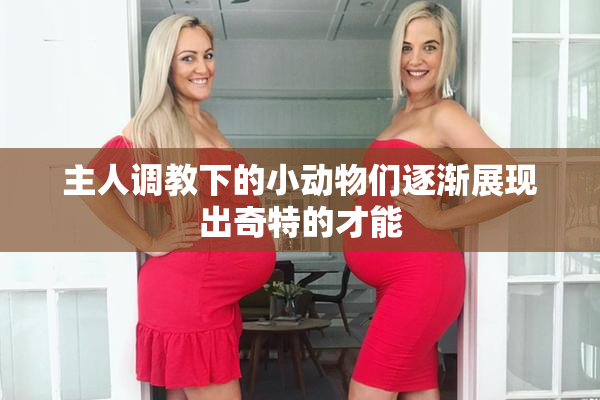主人调教下的小动物们逐渐展现出奇特的才能