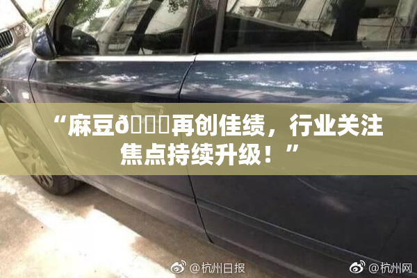 “麻豆🔞再创佳绩，行业关注焦点持续升级！”