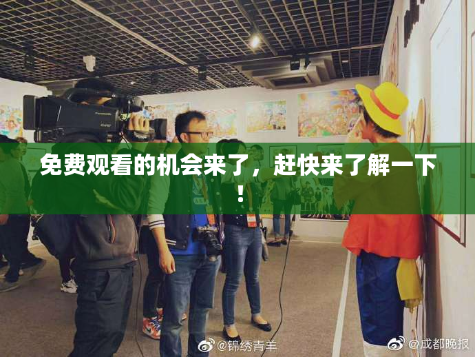 免费观看的机会来了，赶快来了解一下！