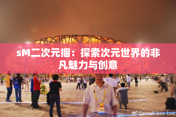 sM二次元捆：探索次元世界的非凡魅力与创意