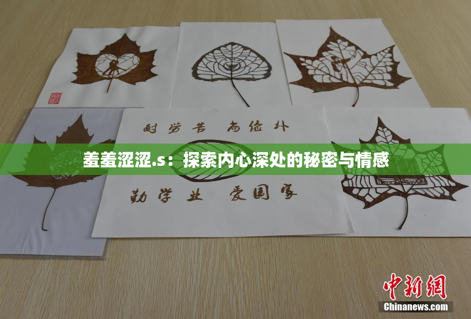 羞羞涩涩.s：探索内心深处的秘密与情感