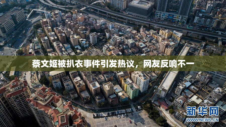 蔡文姬被扒衣事件引发热议，网友反响不一