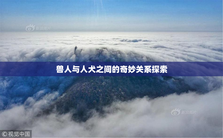 兽人与人犬之间的奇妙关系探索