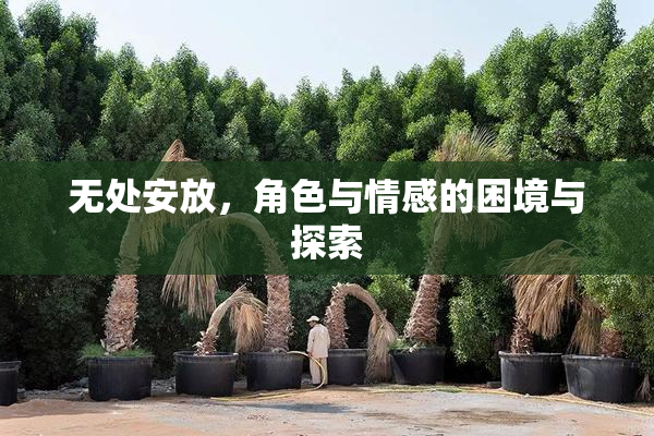 无处安放，角色与情感的困境与探索