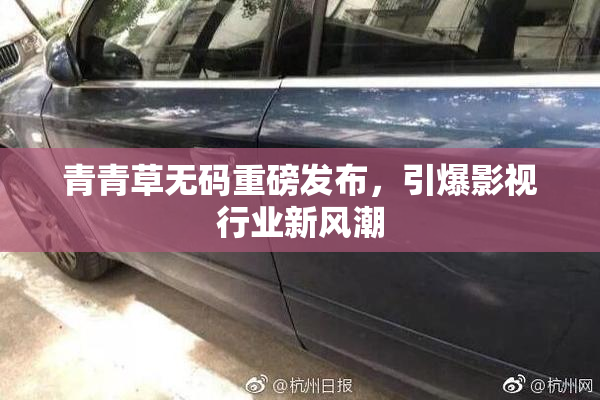 青青草无码重磅发布，引爆影视行业新风潮